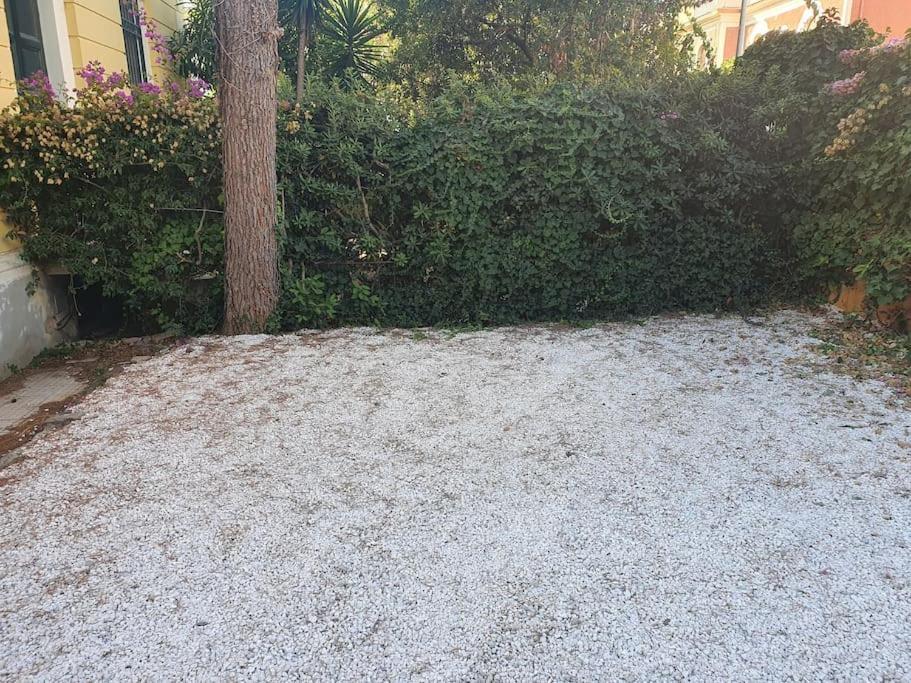Suite La Marinella Localita Caccia Riserva Santa Marinella Exteriér fotografie